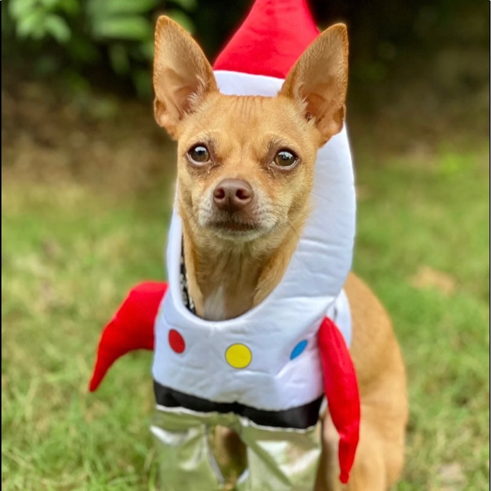 Spaceship Dog Halloween Costume Size Small
